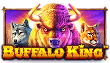 BuffaloKing